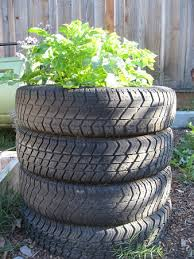 potato-tyre-1