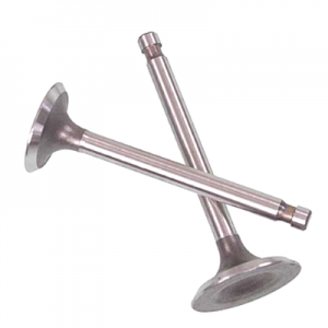 valves