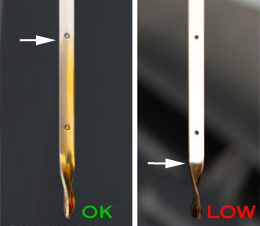 oil-check
