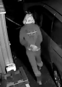 Suspected vehicle thief caught on security camera