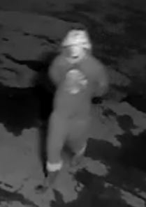CCTV footage of a thief at night