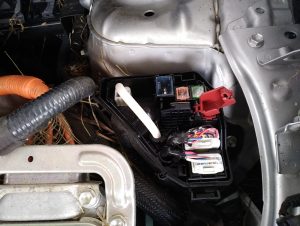 Positive switch