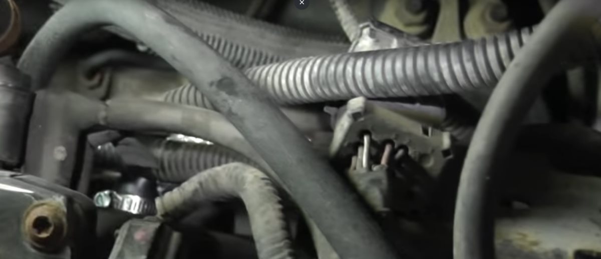 pcv-valve-hose-hamilton PCV valve hose being replaced on an engine