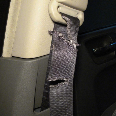 Car seat belts Hamilton