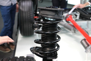 Strut with strut mount