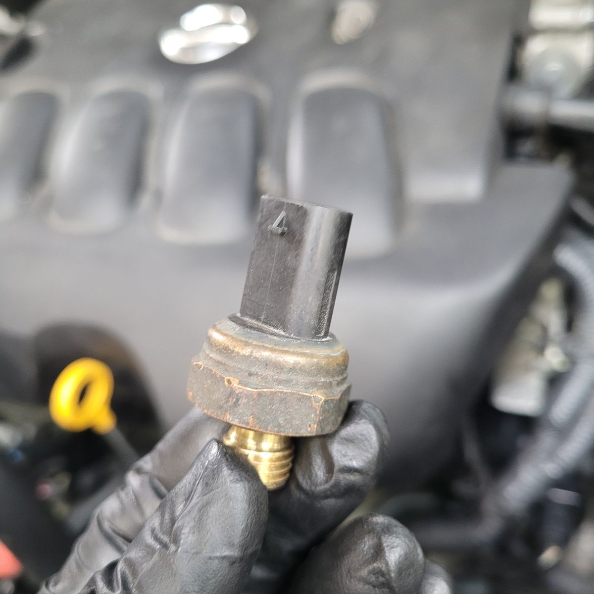 Hand Holding Automotive Coolant Temperature Sensor A gloved hand holding a coolant temperature sensor in front of a car engine.