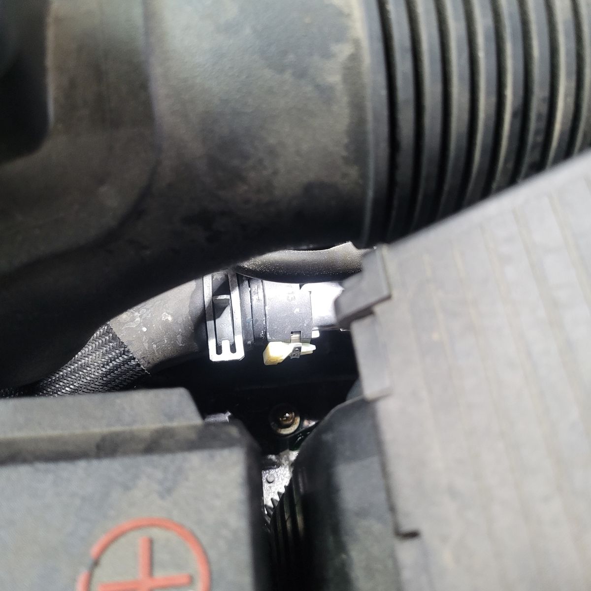 Close-up of Top Radiator Hose in Engine Bay Top radiator hose with clamp and electrical connector in engine bay